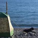 Аватара пользователя