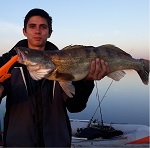 Аватара пользователя