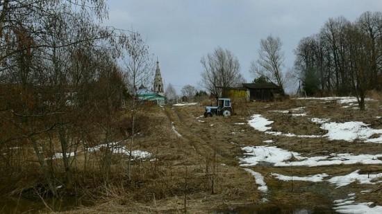 Березовая роща