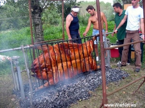 версия №1 офигенная.jpg