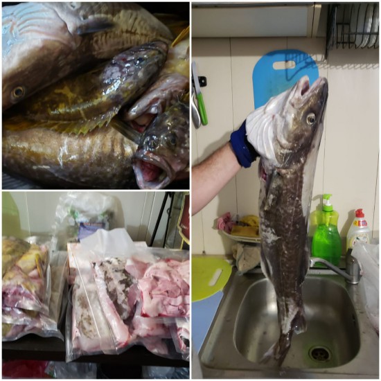 Домашние заготовки, самое не любимое дело после рыбалки )))