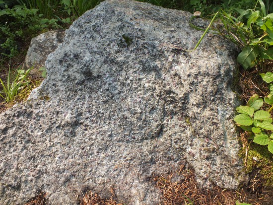 DSCF4309.JPG