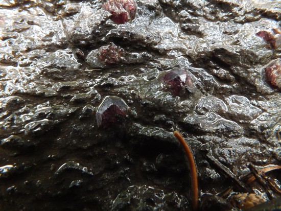 DSCF4236.JPG