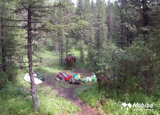 31. Экспедиция на Мультинские озера 2019 - добрались до слияния Мульты и Поперечной.jpg (316.66 КБ) 8272 просмотра 31. Экспедиция на Мультинские озера 2019 - добрались до слияния Мульты и Поперечной