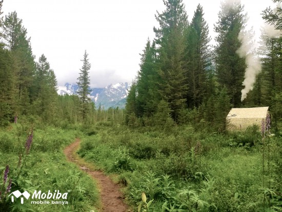 35. Экспедиция на Мультинские озера 2019 - палатка Роснар Р-34 в лесу Мультинского участка Катунского биосферного заповедника. Мобиба.jpg (286.92 КБ) 8295 просмотров 35. Экспедиция на Мультинские озера 2019 - палатка Роснар Р-34 в лесу Мультинского участка Катунского биосферного заповедника. Мобиба