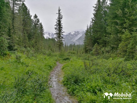 46. Экспедиция на Мультинские озера 2019 - дорога до озера Поперечное.jpg (435.8 КБ) 8295 просмотров 46. Экспедиция на Мультинские озера 2019 - дорога до озера Поперечное