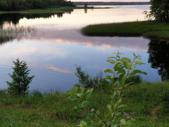 20190626_213532.jpg (143.02 КБ) 8318 просмотров Озеро Боровно