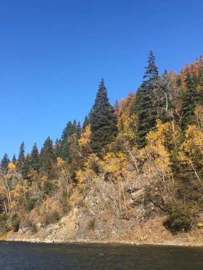 001.Осень.JPG