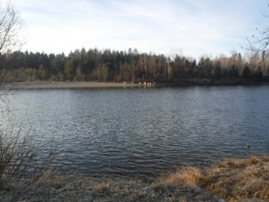 DSCF6108.JPG