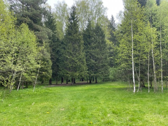 WhatsApp Image 2024-05-13 at 13.51.47.jpeg