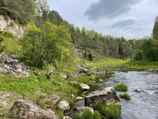 WhatsApp Image 2024-05-13 at 13.51.48(1).jpeg