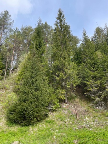 WhatsApp Image 2024-05-13 at 13.51.49.jpeg