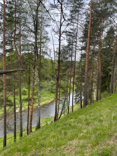 WhatsApp Image 2024-05-13 at 13.51.50.jpeg