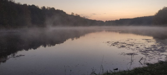 1716916039073_copy_768x345.jpg