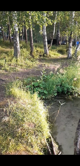 Screenshot_20240718-234410_Video Player.jpg