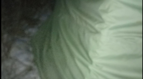 IMG_20250106_001404.jpg