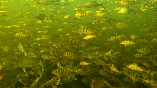 Имя отутствует_1.20.2.jpg