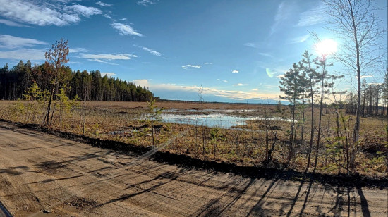 5.jpg (487.42 КБ) 1580 просмотров край болот, озёр и лесов