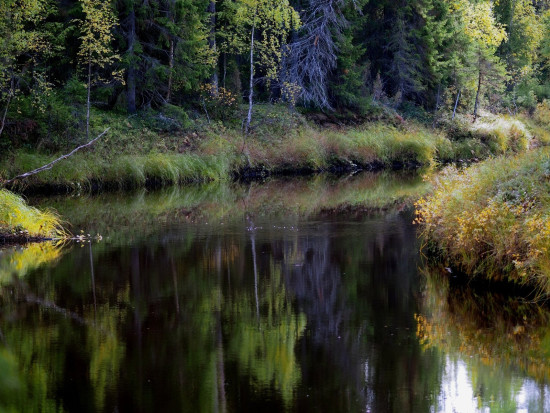 cYFp-sF60Gc.jpg (575.8 КБ) 440 просмотров р. Лекса