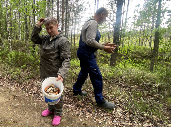 2025-06-13 16-24-44_обработано.JPG