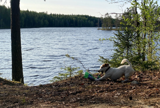 2025-06-13 19-34-57_обработано.JPG