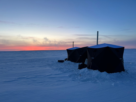 Выставились