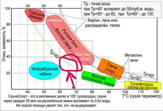 homotermaS100.jpeg