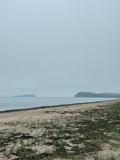 IMG-20260711-WA0014.jpg