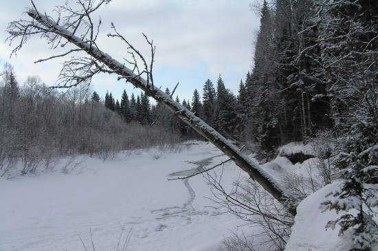 P4010664.JPG