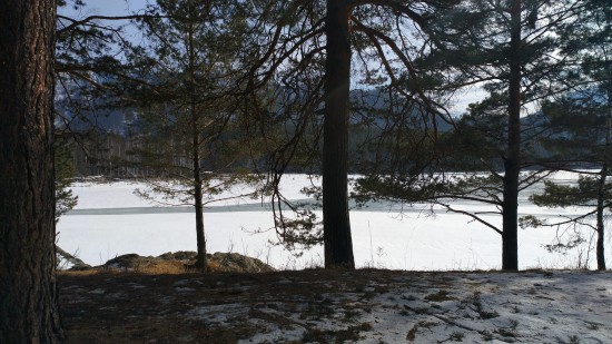 примерный вид из окна