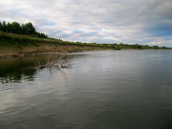 IMG_1926.JPG (225.62 КБ) 4969 просмотров Такая вот река Томь