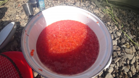 Готовим "пятиминутку"