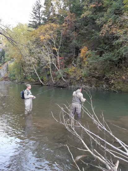 утренняя проводка