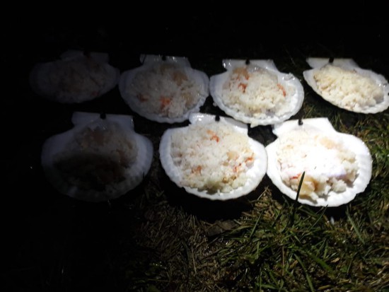 готовы к закладке на Шикардос