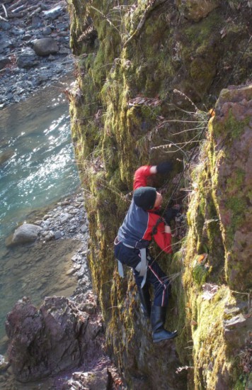 Изображение 061.jpg